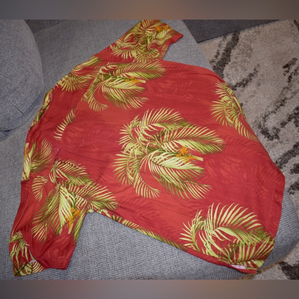TB button down - Picture 4 of 9